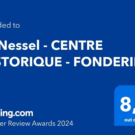 Apartment Le Nessel - Centre Historique - Fonderie