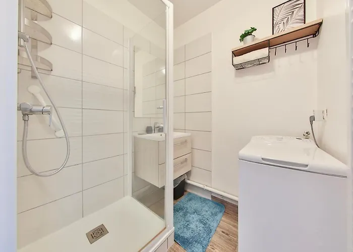 Le Nessel - Centre Historique - Fonderie * Mulhouse